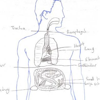 body parts drawing