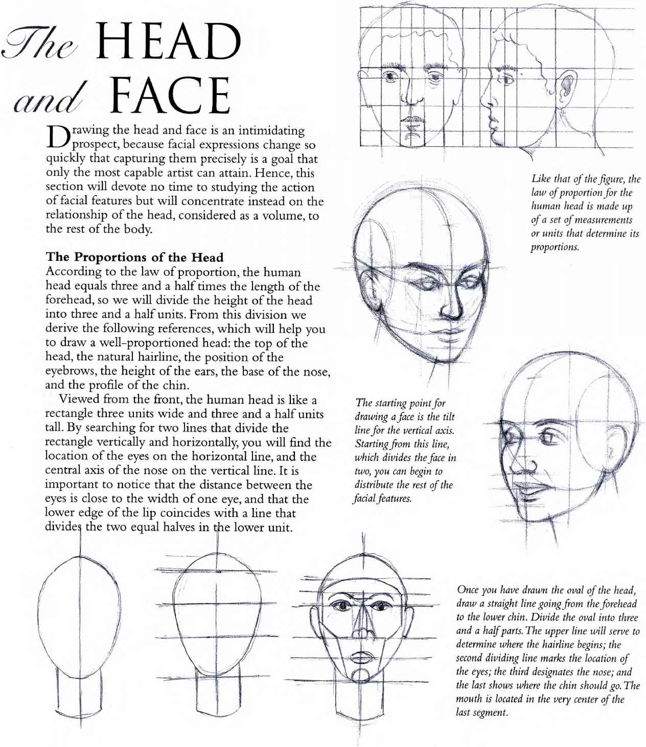 1264x1460 How To Draw What You See Human Body Parts Sketch - Human Body Parts Drawing