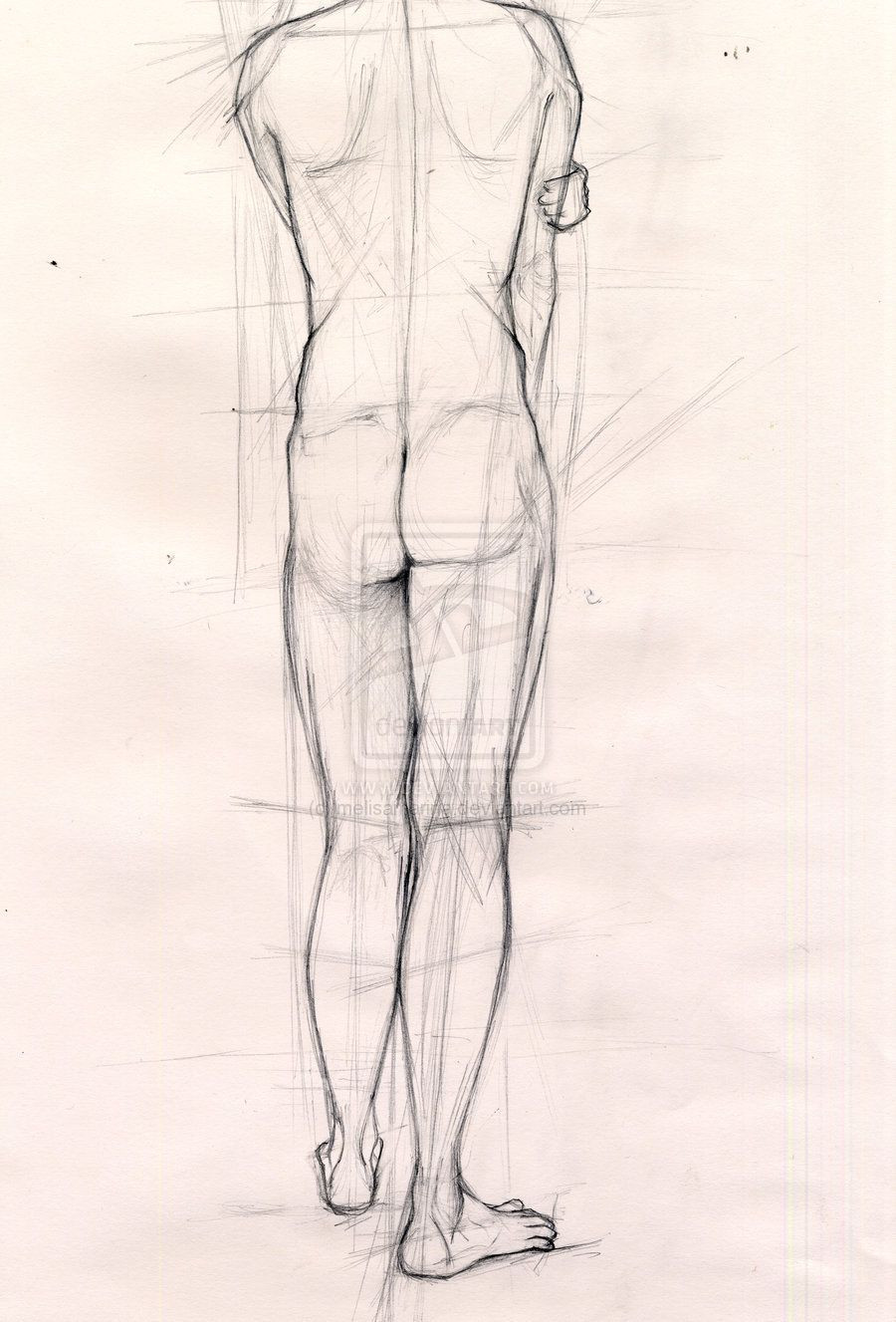 900x1327 How To Draw Human Body Sketch Fresh Sarokzana O D Week Life - Human Body Structure Drawing