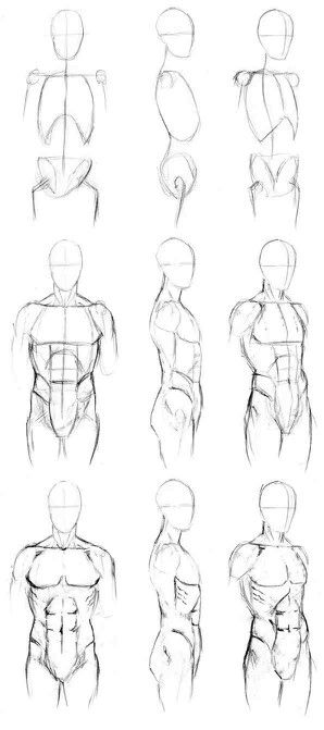 298x671 how to draw male body structure stuff to draw drawings, art - Human Body Structure Drawing