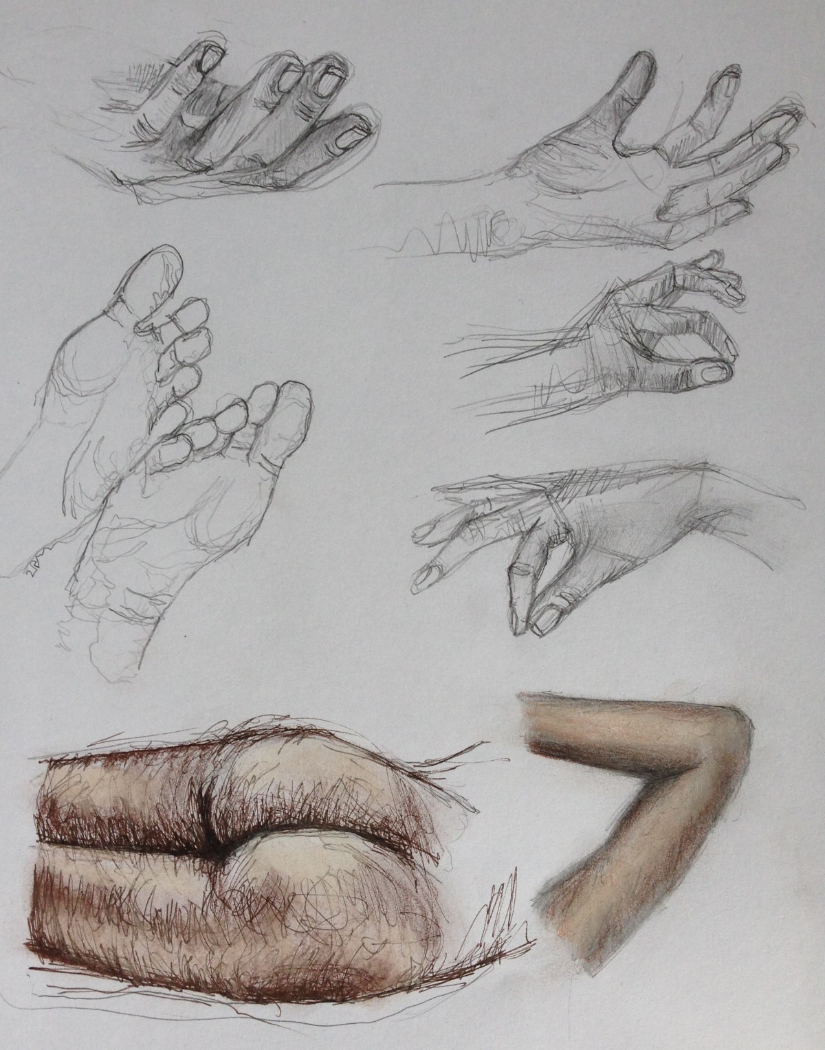 1200x1528 Huge Collection Of 'parts Of The Body Drawing' Download More Than - Human Body Structure Drawing