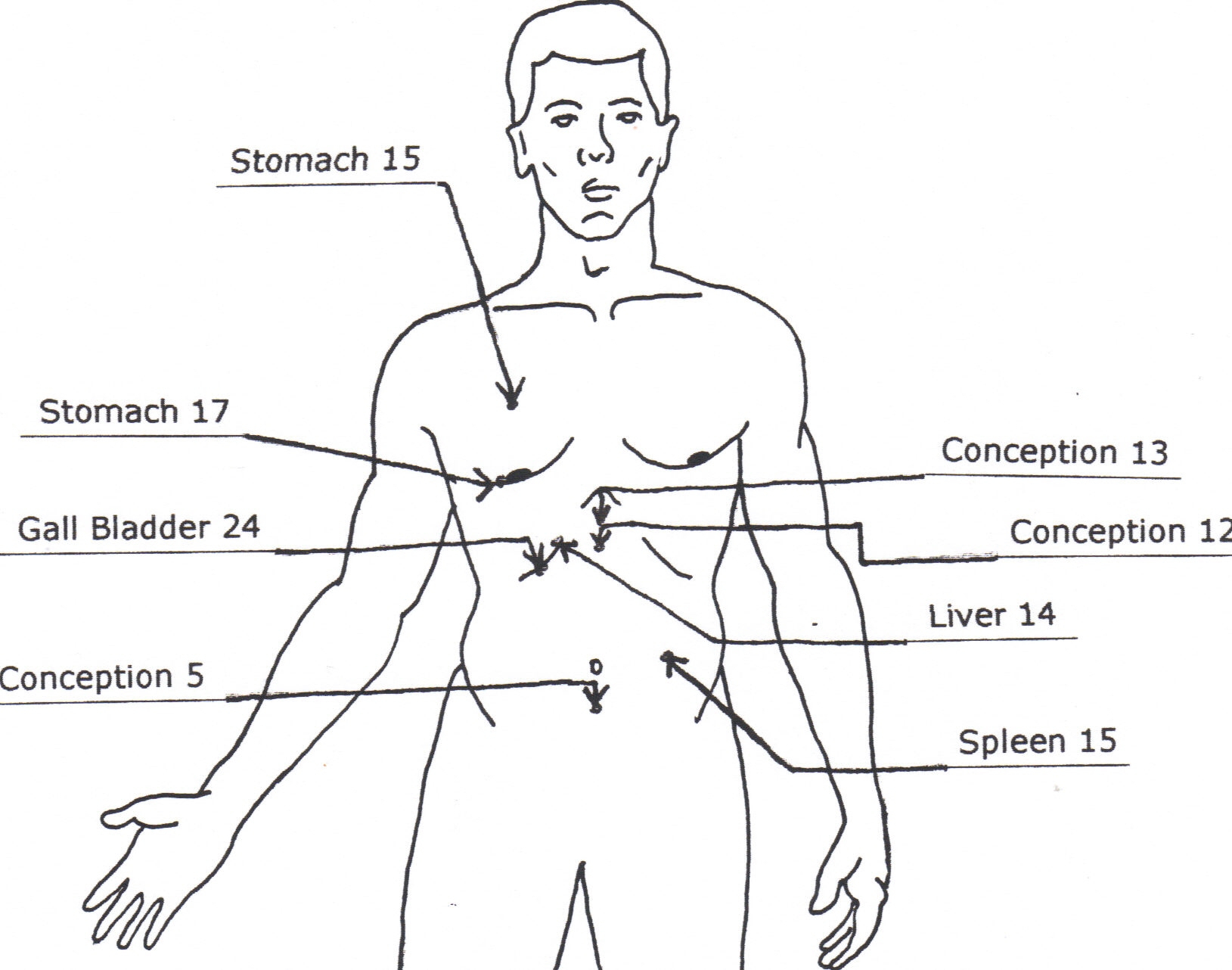 1629x1282 human body structure drawing - Human Body Structure Drawing