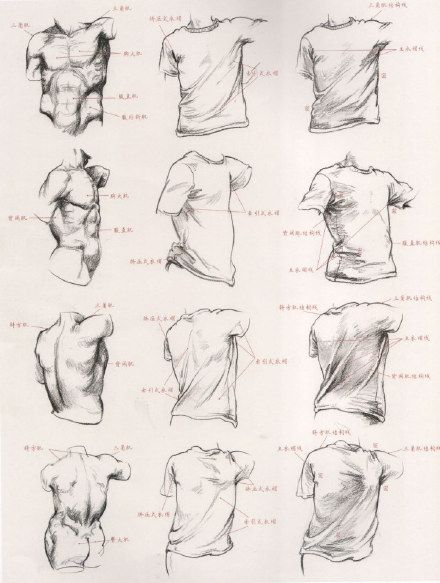 440x583 Painting Reference - Human Body Structure Drawing