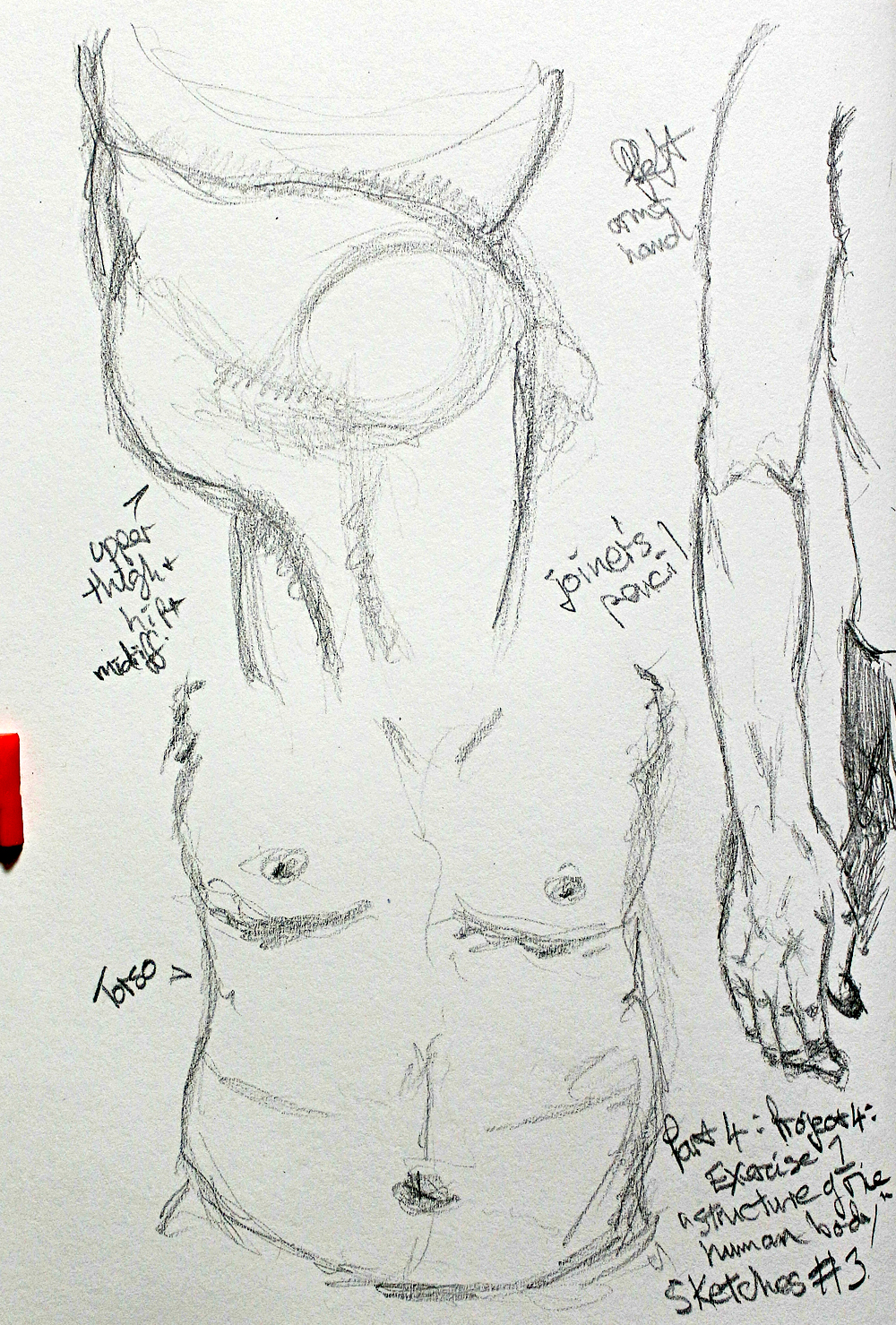 1000x1479 part project exercise the structure of the human body - Human Body Structure Drawing