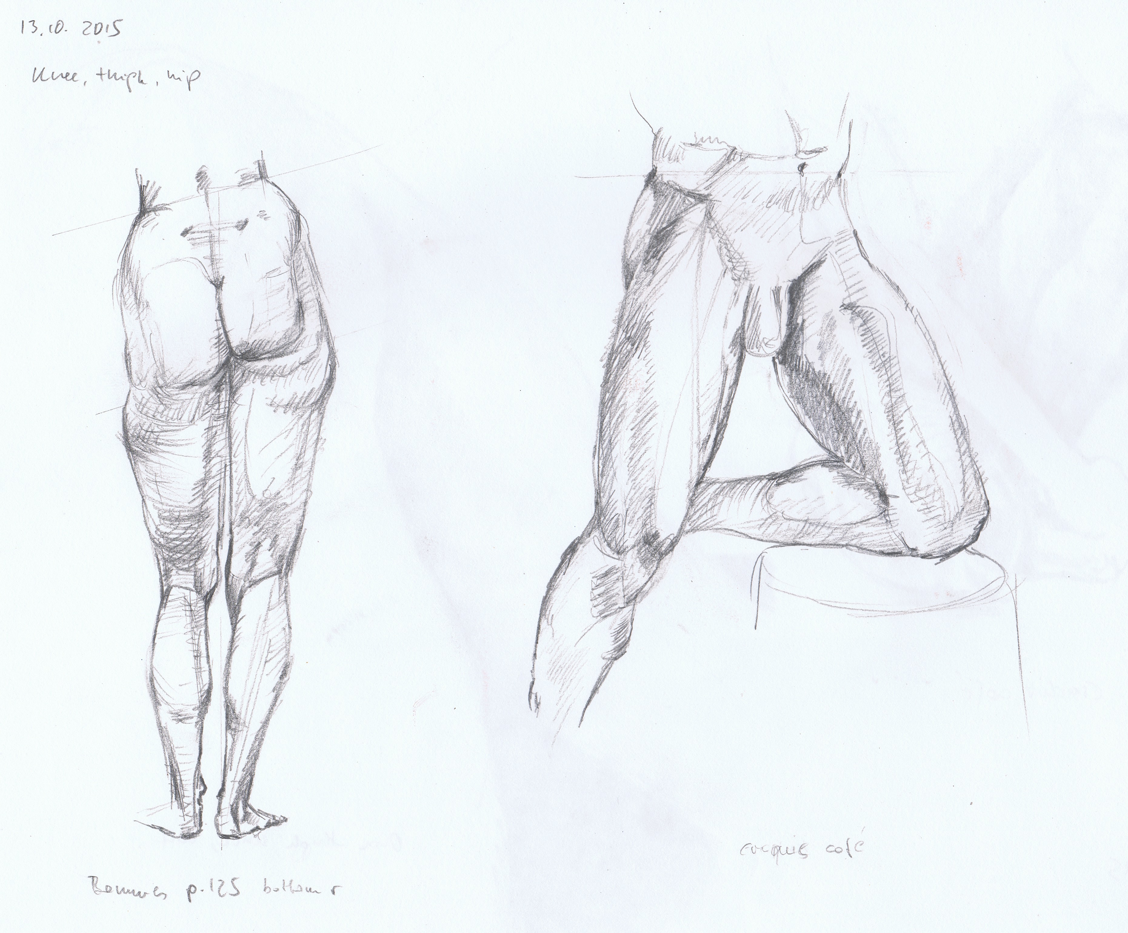 3722x3080 Human Body Andrea's Oca Study Blog - Human Body Structure Drawing