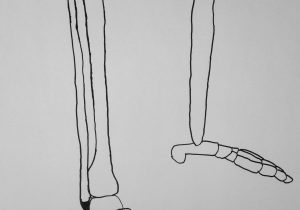 300x210 How To Draw A Skeleton Leg Human Bone Drawing At Getdrawings - Human Bones Drawing
