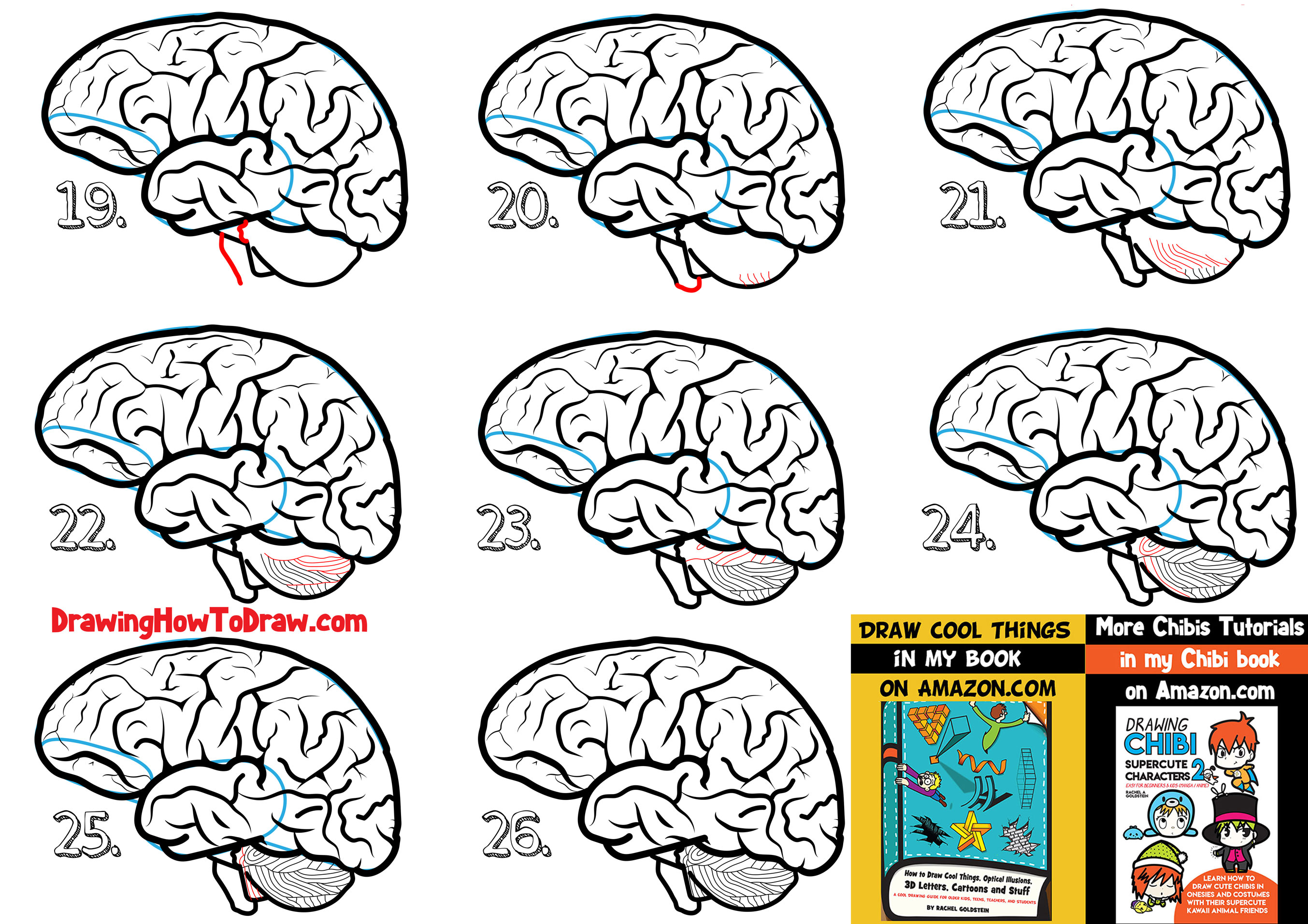 2707x1913 How To Draw A Human Brain - Human Brain Drawing