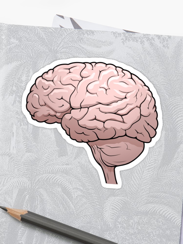 750x1000 Human Brain Drawing Sticker - Human Brain Drawing