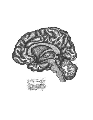 375x485 Human Brain Drawing - Human Brain Drawing