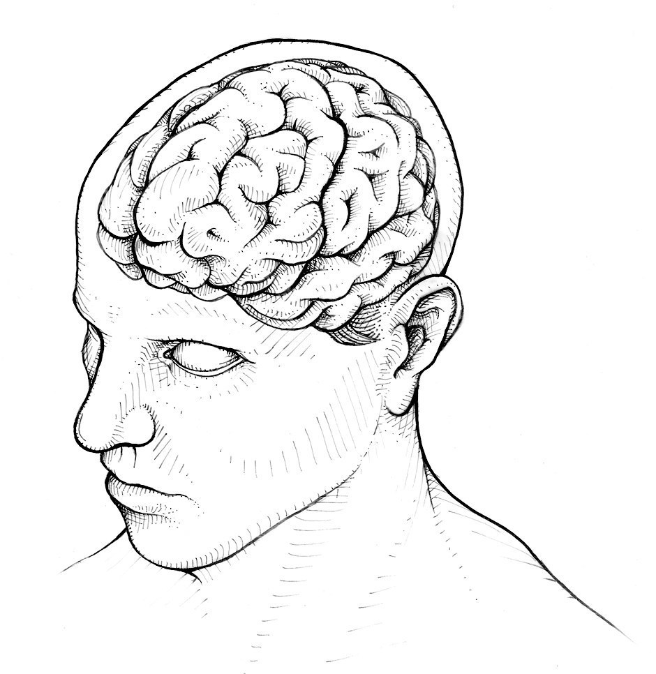 940x966 Brain Drawing Head For Free Download - Human Brain Drawing