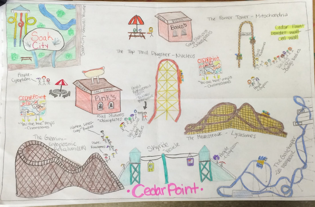 1100x723 Human Cell City Diagram Wiring Schematic Diagram - Human Cell Drawing