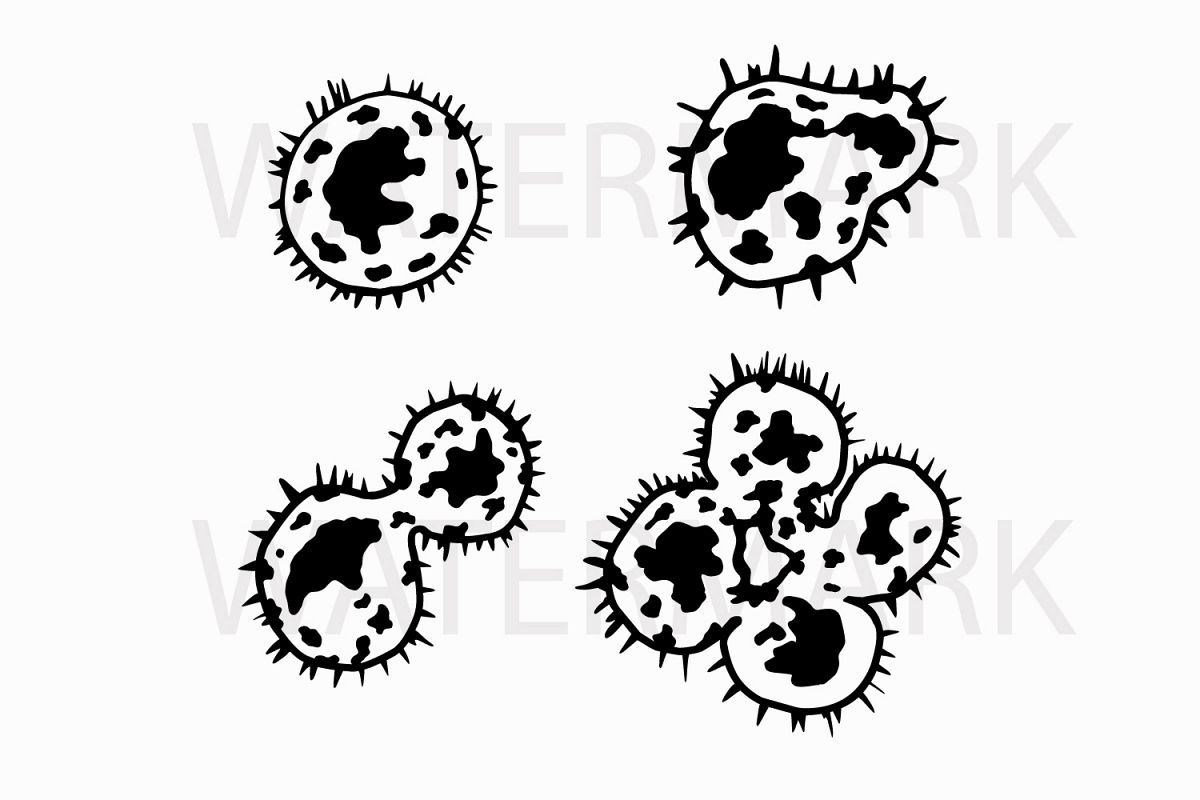 1200x800 Human Cell Separation - Human Cell Drawing