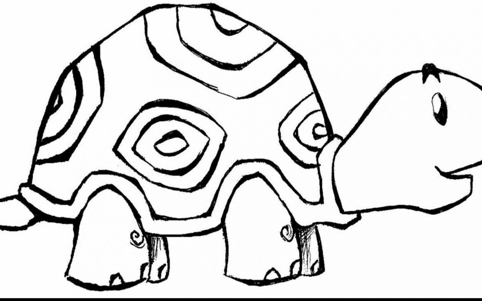 1680x1050 Phenomenalelloloring - Human Cell Drawing