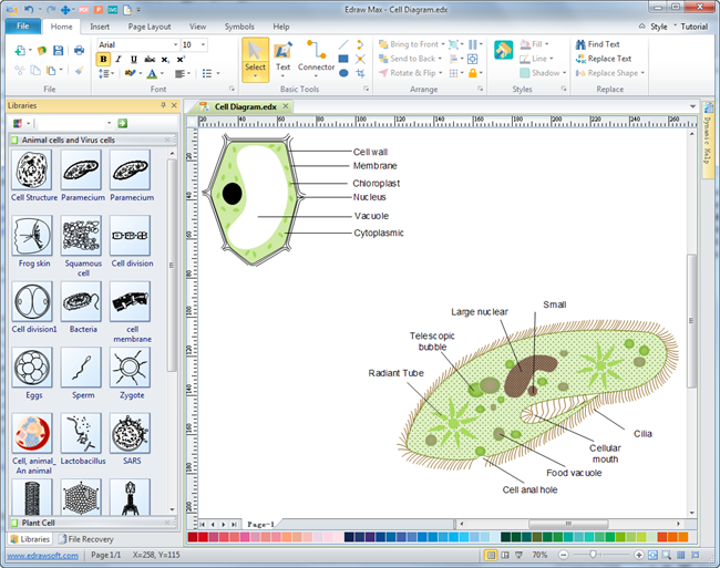 650x513 cells diagrams - Human Cell Drawing