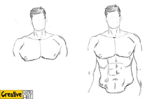 514x342 Drawing Basics Body, Arms, Legs Creative Comic Art - Human Chest Drawing