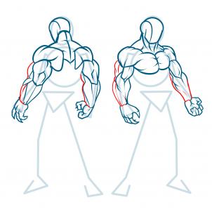 302x302 How To Draw Muscles, Step - Human Chest Drawing