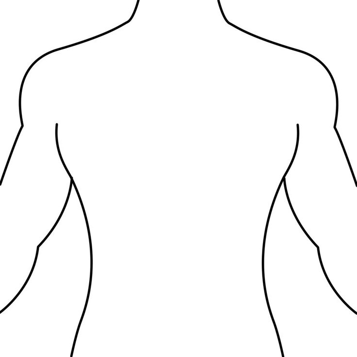 736x736 Human Body Outline Front And Back Drawing - Human Chest Drawing
