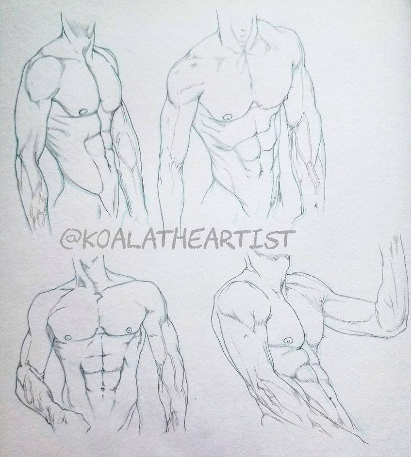847x943 Male Anatomy - Human Chest Drawing