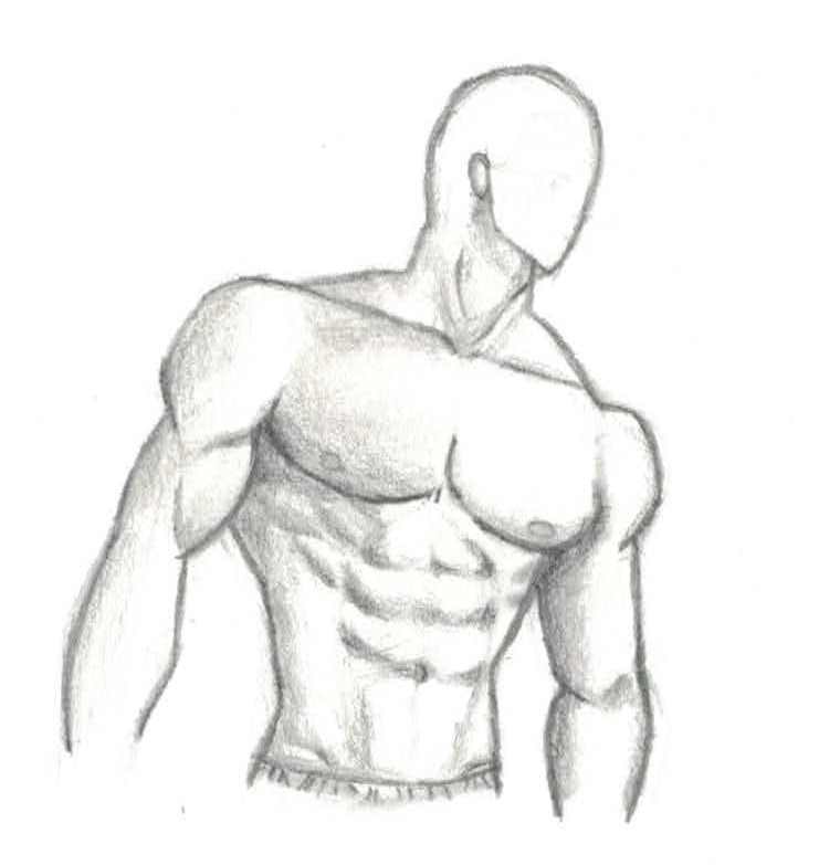 760x783 Markcrilley Chest Muscle - Human Chest Drawing