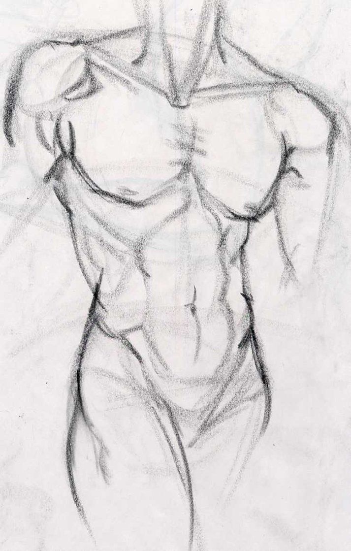 713x1119 Drawing Guy Human Torso For Free Download - Human Chest Drawing
