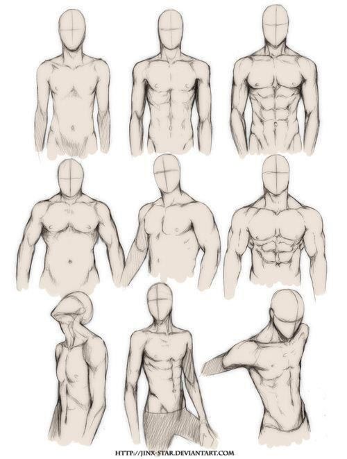 500x661 Realistic Dibujos De Hombres, Dibujo Musculos - Human Chest Drawing