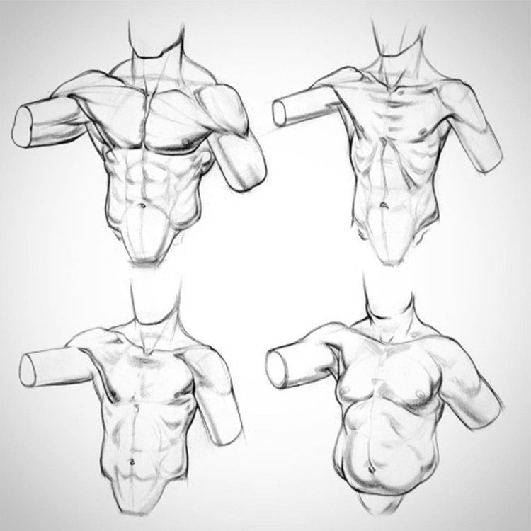 750x750 Proko Anatomy Chest Drawing Course Reference Anatomy Sketches - Human Chest Drawing