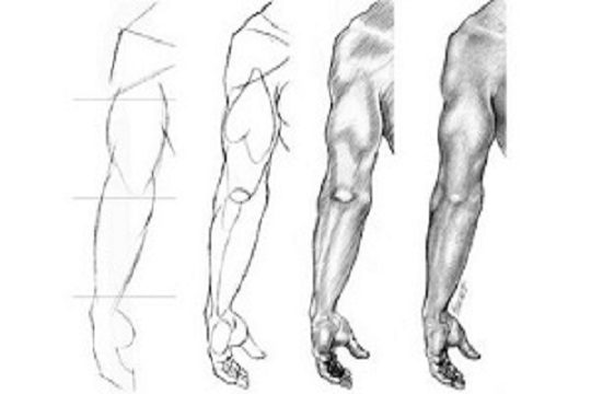 540x360 Figure Drawing My Drawing Tutorials - Human Drawing
