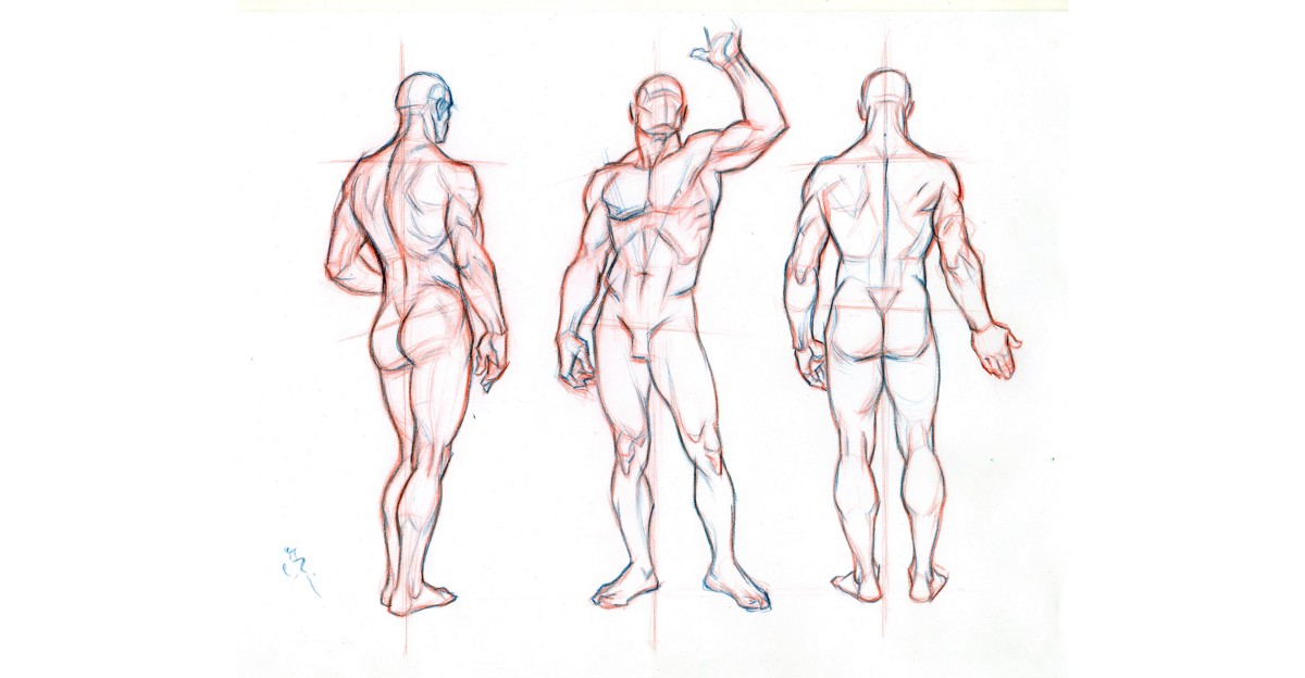 1200x624 Guide Importance Of Proper Body Proportions And How - Human Drawing