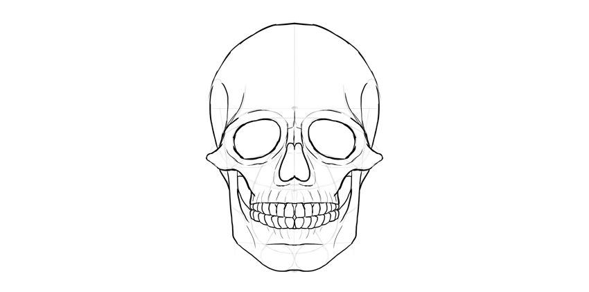 850x421 How To Draw A Skull - Human Drawing Outline