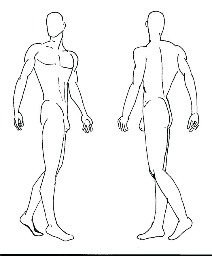 736x888 Human Drawing Template Face Facial Sketches Body - Human Drawing Outline