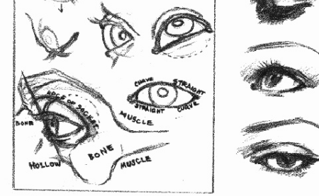 450x277 How To Draw Eyes Tutorials, Step - Human Drawing Reference