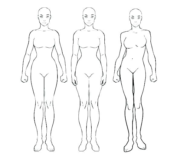 585x520 Drawing Template Fashion Printable Human Body Outline - Human Drawing Template