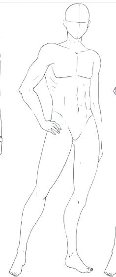 236x562 Draw Female Body Human Drawing Template How To Torso - Human Drawing Template