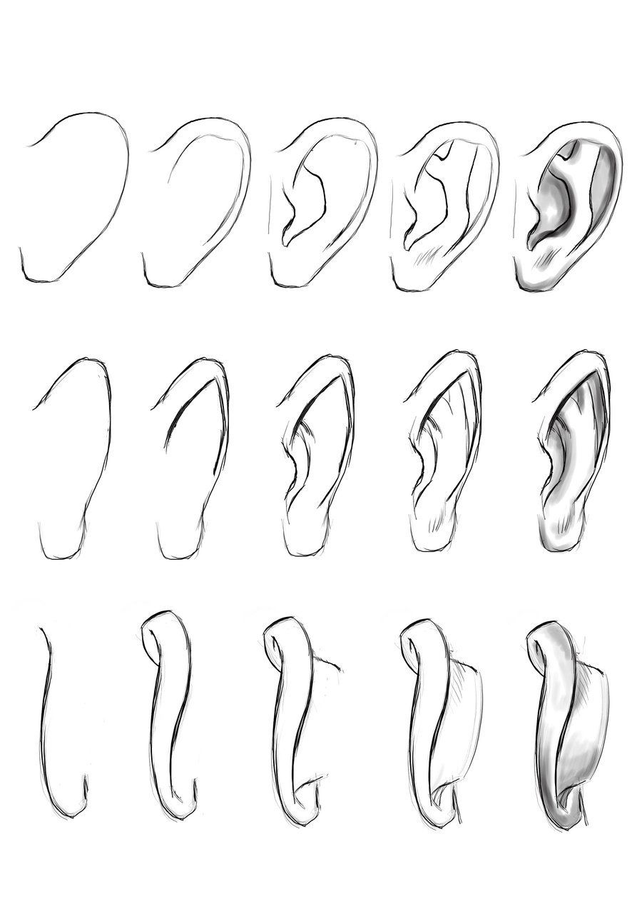 900x1273 her's some steps to draw an ear notice that inside an ear there - Human Ear Drawing