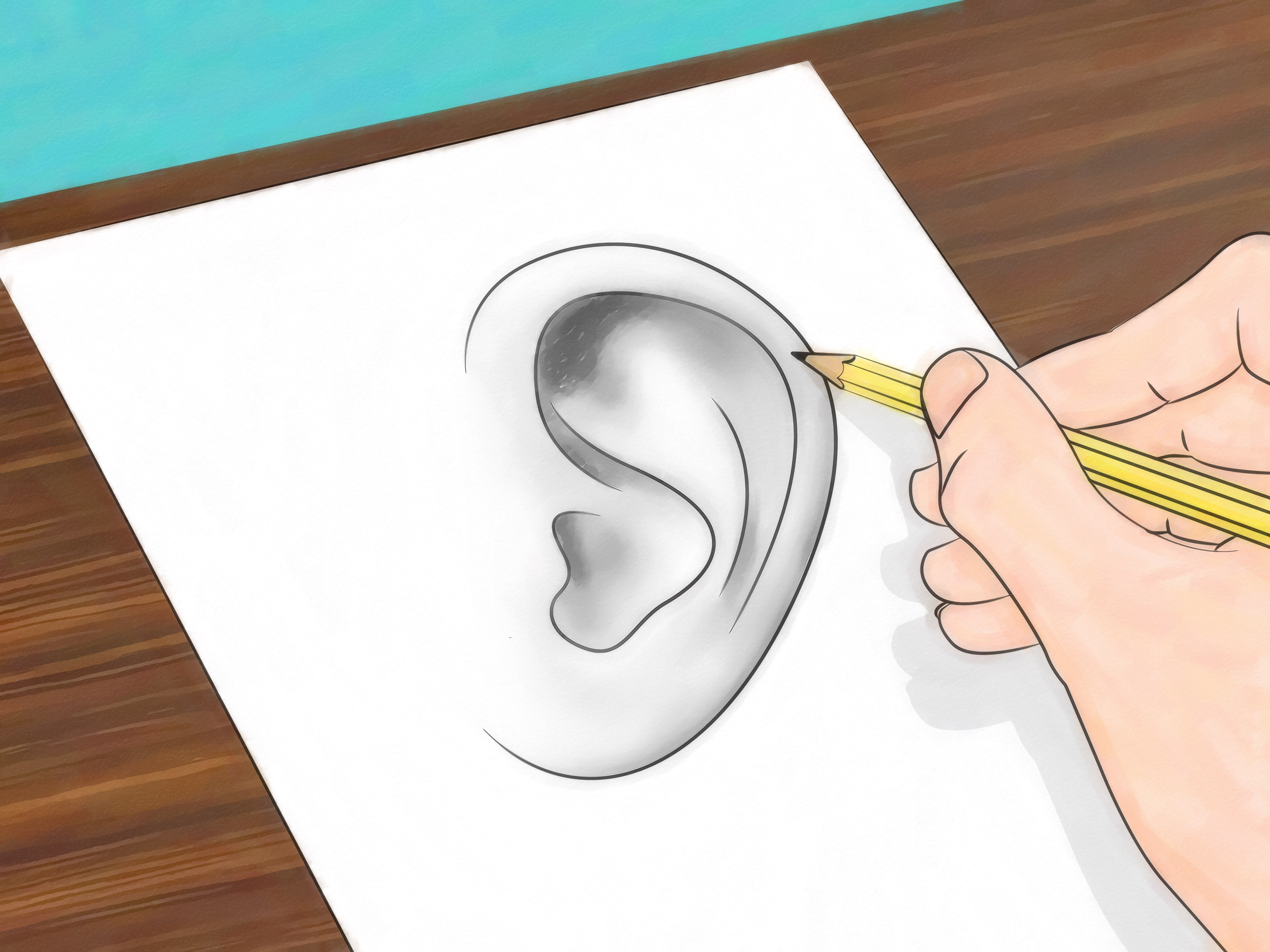 3200x2400 How To Draw Ears Steps - Human Ear Drawing
