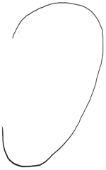 150x240 How To Draw Human Ears In Profile Step - Human Ear Drawing