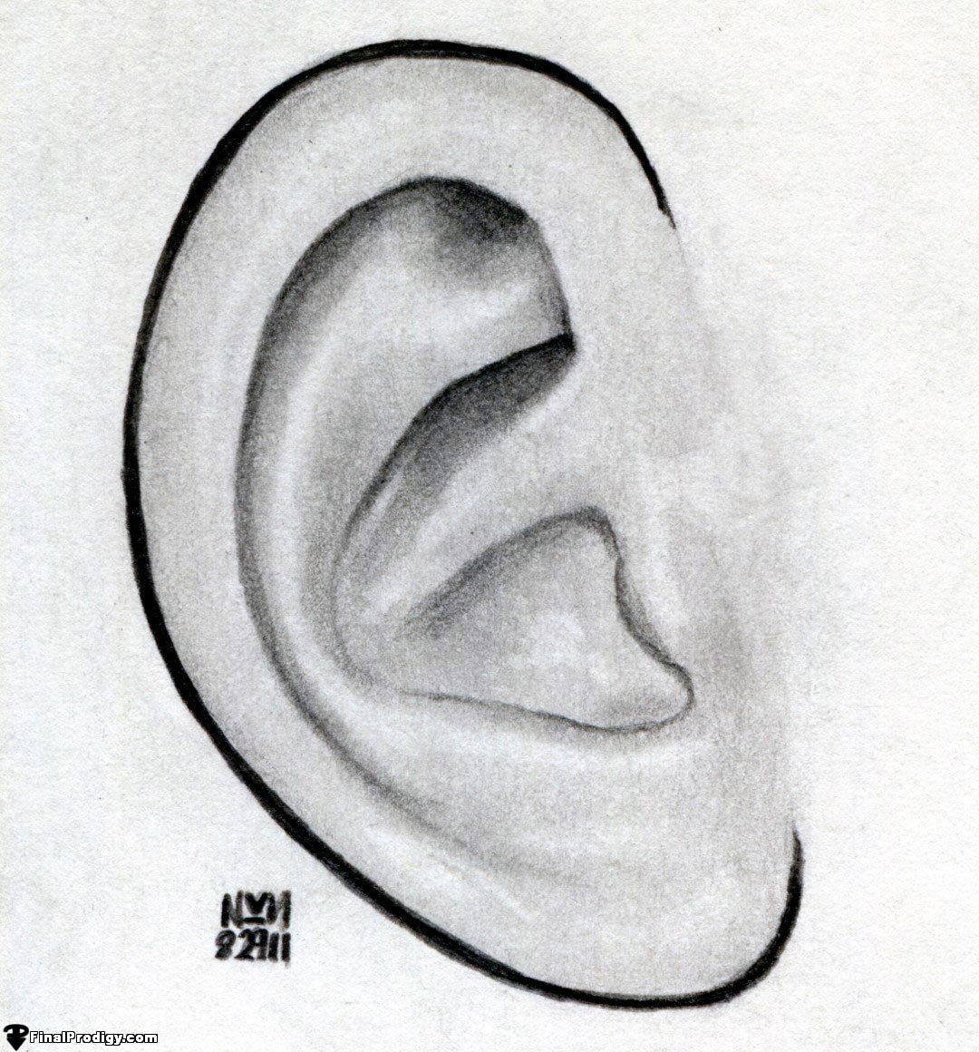 1080x1160 How To Sketch An Ear, Step - Human Ear Drawing