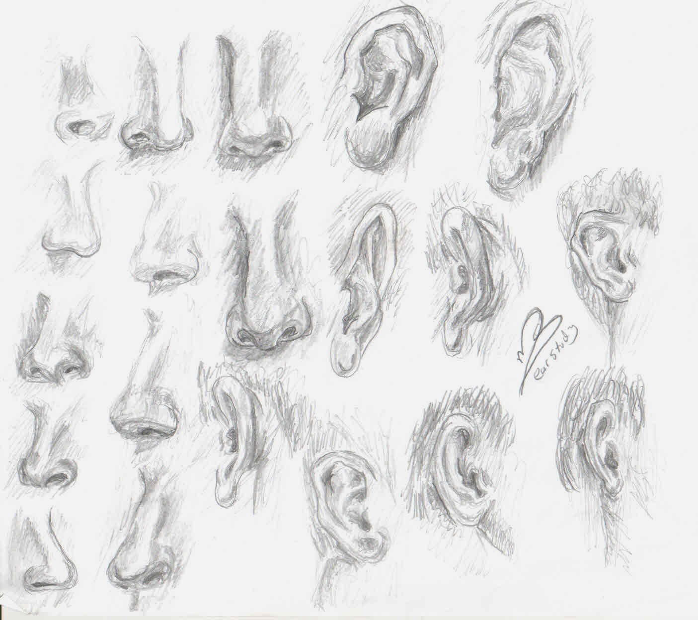1405x1248 how to draw the ear ear study significant art blog - Human Ear Drawing