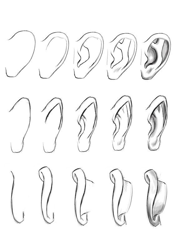 564x797 How To Drawsketch Human Ears From Three Different Angles Just - Human Ear Drawing
