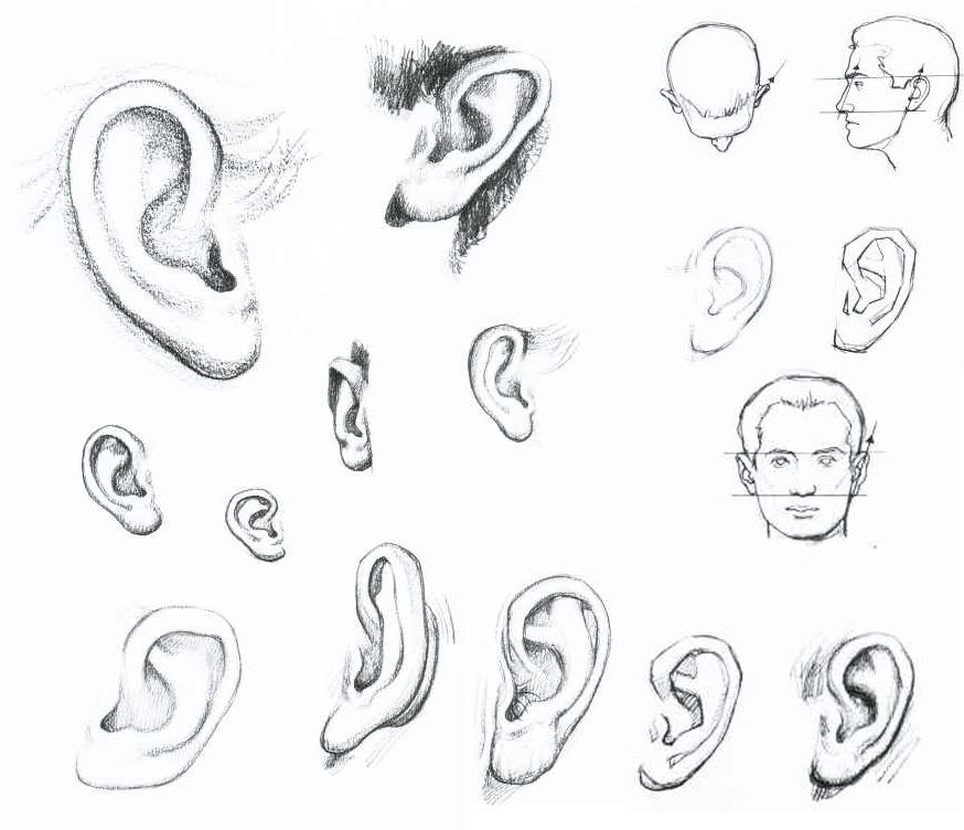 874x752 how to draw human ears painting techniques drawings, human - Human Ear Drawing
