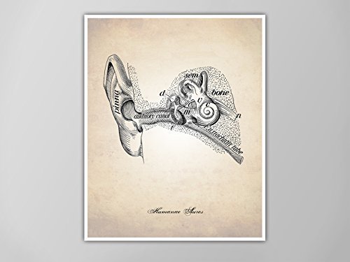 500x375 human ear art print, human ear canal, vintage - Human Ear Drawing