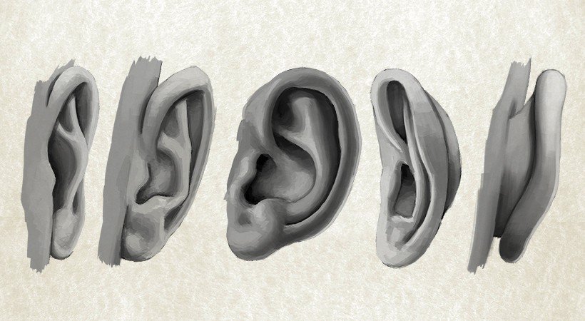 820x450 drawing the human ear with confidence pluralsight - Human Ear Drawing