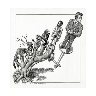 400x400 human evolution, conceptual artwork giclee print - Human Evolution Drawing