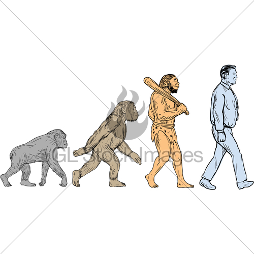 500x500 human evolution walking drawing gl stock images - Human Evolution Drawing