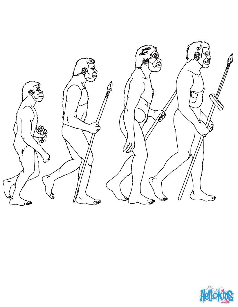 820x1060 stages in human evolution coloring - Human Evolution Drawing