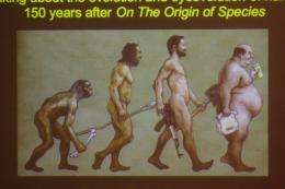 260x173 culture skews human evolution - Human Evolution Drawing