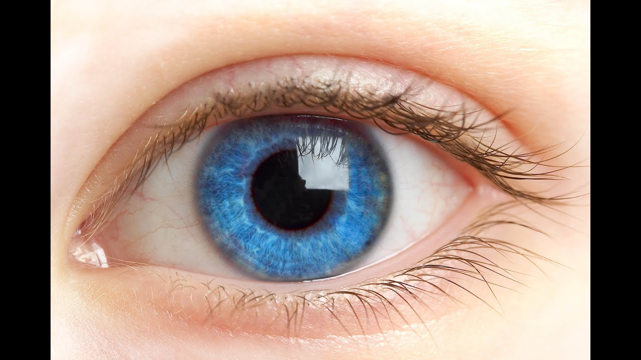 1280x720 Tutorial How To Draw A Human Eye Anatomyampexplanation - Human Eye Drawing