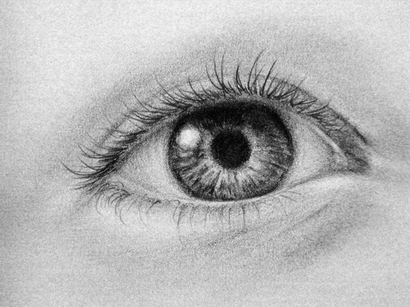 800x600 Tutorial How To Draw A Human Eye - Human Eye Drawing