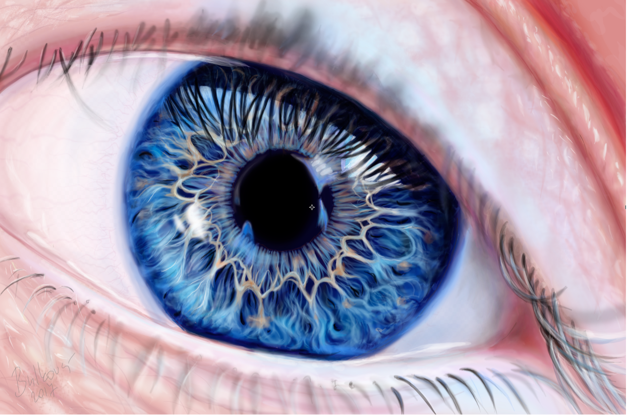1245x822 My Art - Human Eye Drawing