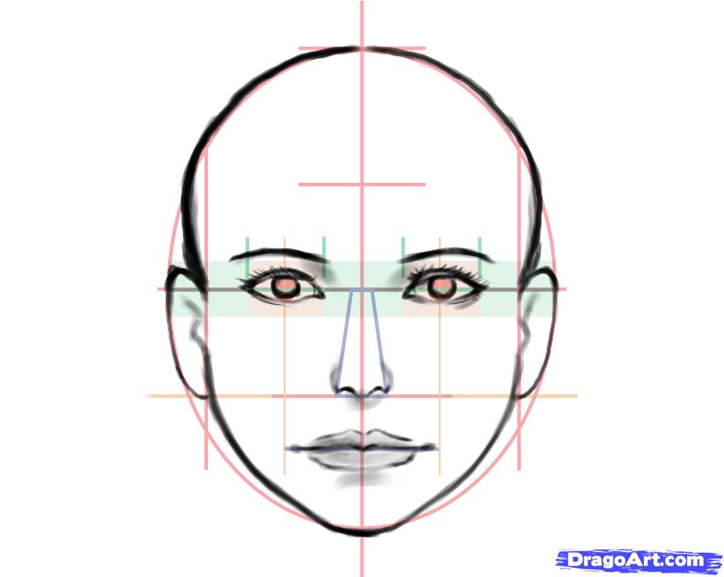 1020x812 how to draw a human face, step - Human Face Drawing